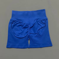 Ariel & Co. Sculpting Seamless Workout Shorts™