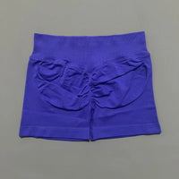 Ariel & Co. Sculpting Seamless Workout Shorts™