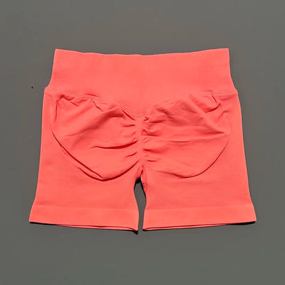 Ariel & Co. Sculpting Seamless Workout Shorts™