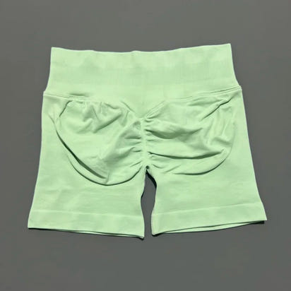 Ariel & Co. Sculpting Seamless Workout Shorts™