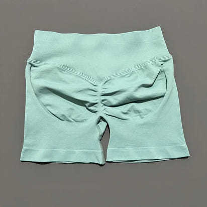 Ariel & Co. Sculpting Seamless Workout Shorts™