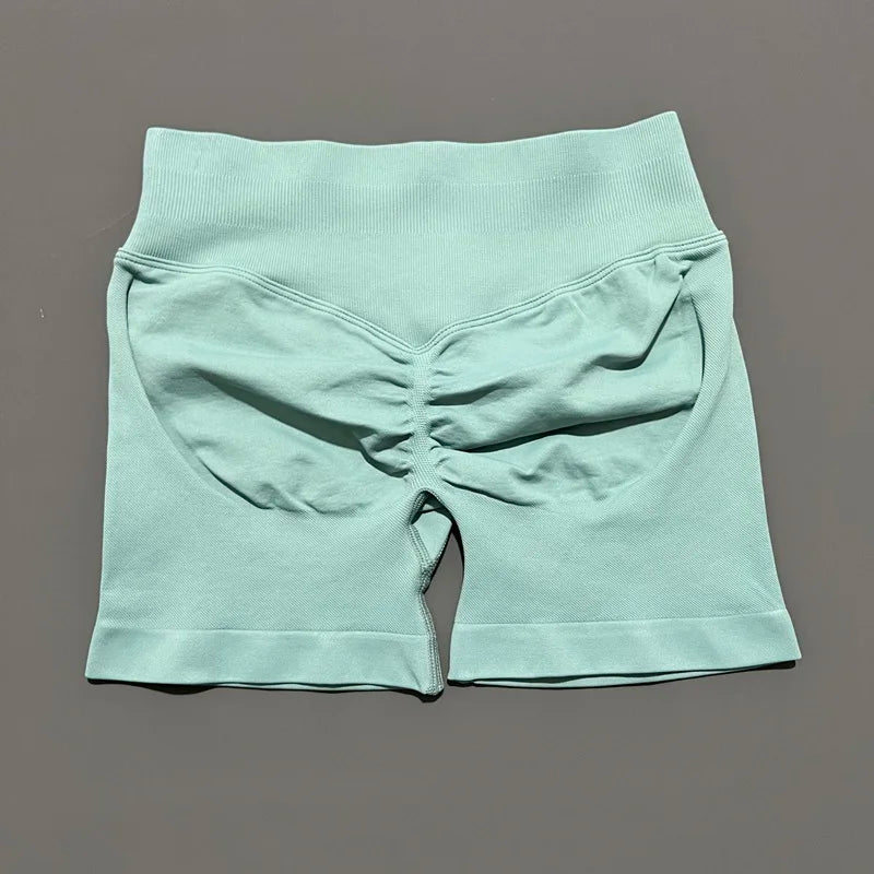 Ariel & Co. Sculpting Seamless Workout Shorts™