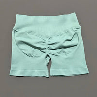 Ariel & Co. Sculpting Seamless Workout Shorts™