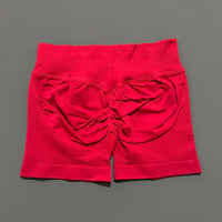 Ariel & Co. Sculpting Seamless Workout Shorts™