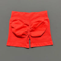 Ariel & Co. Sculpting Seamless Workout Shorts™